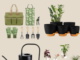 Christmas gift ideas for plant lovers