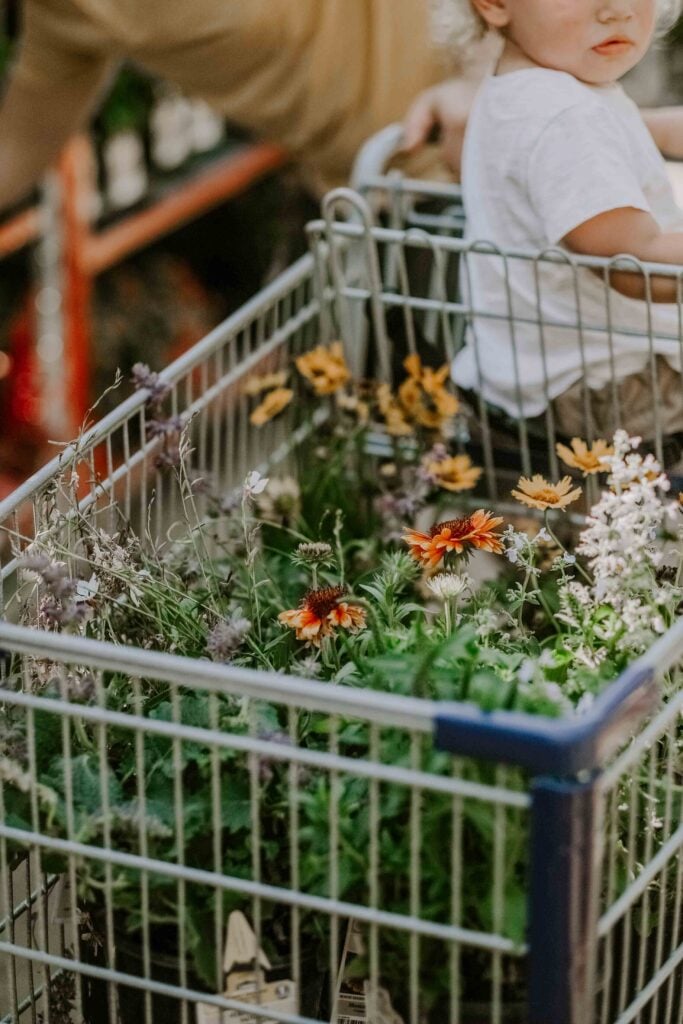 lowes garden center