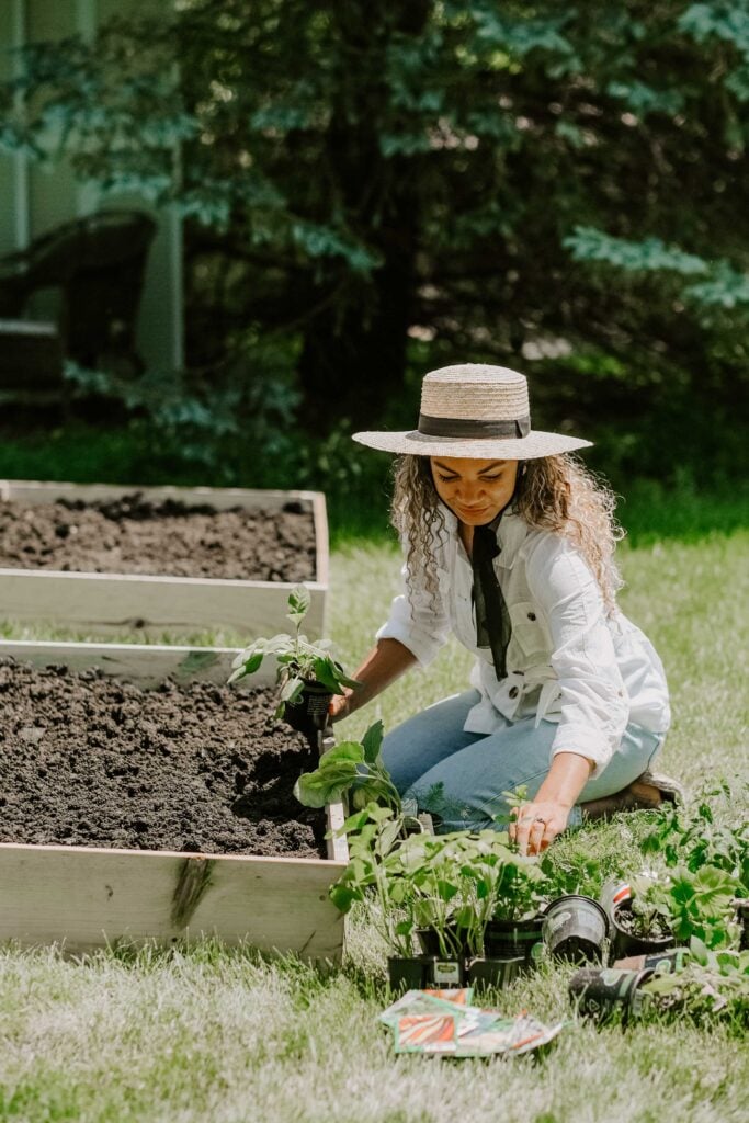 raised garden bed veggies